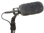 Microphone and boom